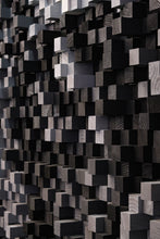 Load image into Gallery viewer, The Frankenstein Monster