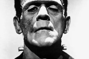 The Frankenstein Monster
