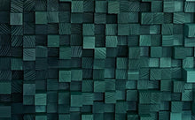 Load image into Gallery viewer, Emerald City
